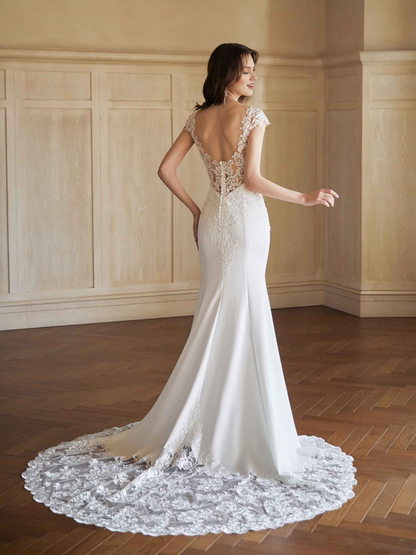 Sleeved sexy fishtail backless V-neck extra long lace wedding dress