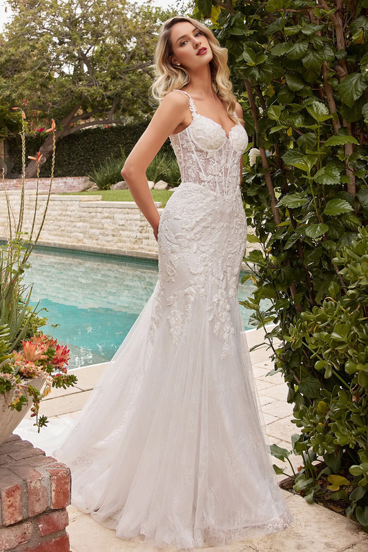 Lace applique long sleeveless wedding dress