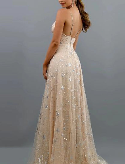 A-Line Prom Dresses Sparkle Dress Wedding Guest Homecoming Floor Length Sleeveless V Neck Tulle with Sequin Tiered